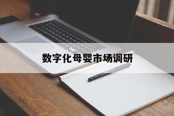 天门市数字化母婴市场调研(数字化母婴市场调研报告)